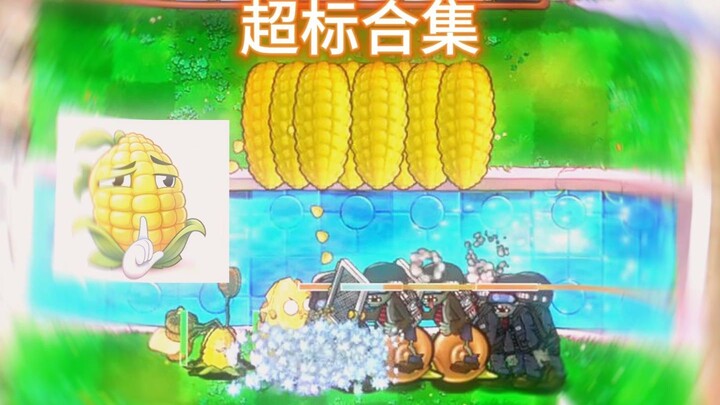 รวมคลิปเกินมาตรฐาน