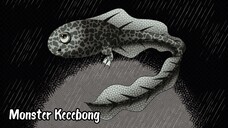 Monster Kecebong Yang Bisa Mengubdang Hujan