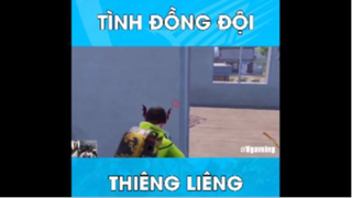 Tình đồng đội thiêng liêng