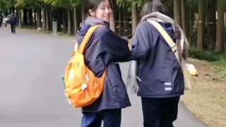 vâng