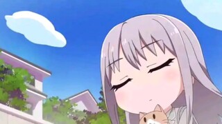 【BangDream】ykn is obviously a cat lover, why doesn’t he get a cat?