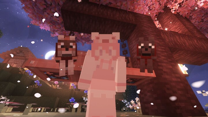 我找到樱花林了！和狗狗一起~