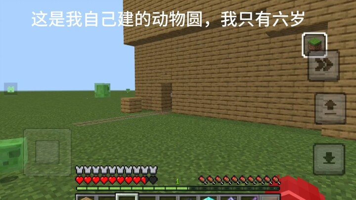 I built this animal circle myself—I’m only six years old!