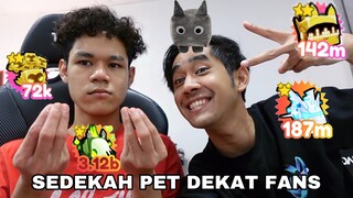 SEDEKAH PET DEKAT FANS 😂 PET SIMULATOR X ROBLOX 🦊