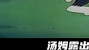 ทอมหยิบสไปค์ขึ้นมาและสารภาพรักด้วยความรัก และยังจูบเขาด้วย #แมวและเมาส์#คำบรรยายแอนิเมชั่น#แอนิเมชั่