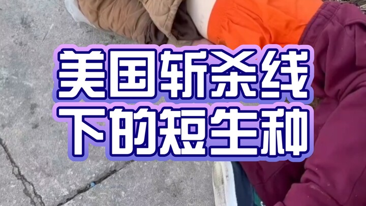 Mỹ tiêu diệt loài ngắn ngày ngoài đời thực