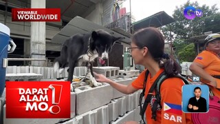 Libreng training para maging rescue dog ang ating mga fur baby, silipin | Dapat Alam Mo!