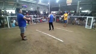 Basista cockpit arena