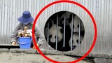 Feeding the Pandas
