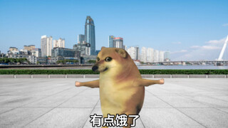 怎么感觉被耍了！