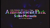 Seiko Matsuda - 1991 Concert Tour Amusement Park