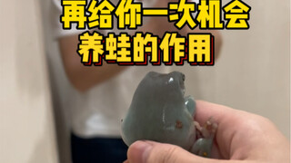 养蛙千日用蛙一时