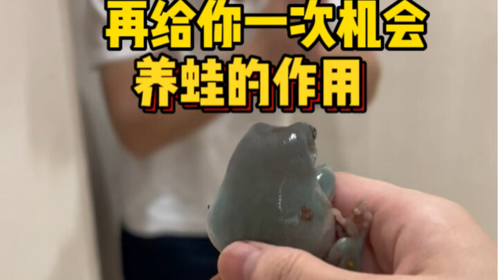 养蛙千日用蛙一时