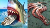 Catching Seafood 🦀 ASMR Relaxing (Catch Shark , Catch Fish ,Deep Sea Monster ) #596