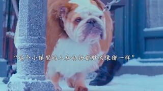 "朝着自己的梦想努力，总有一天会实现..."