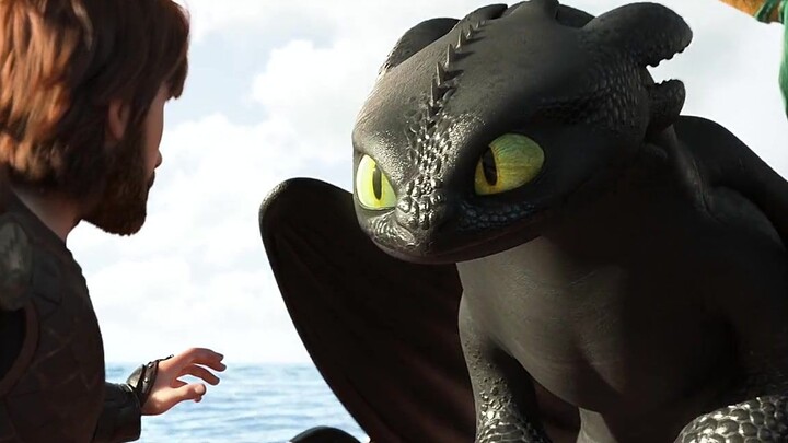【How to Train Your Dragon】Meet Hiccup again after five years, Toothless' eyes are gradually full of 
