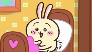 【chiikawa】Sachi the pig is back