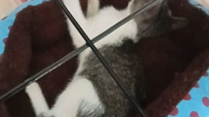 My baby