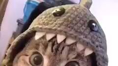 😻