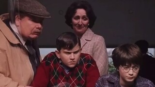 Harry Potter: Did the snake blink?