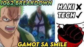 Vegapunk bypass Haki System. Zoro gustong magamot ang mga tao sa Wano? One piece