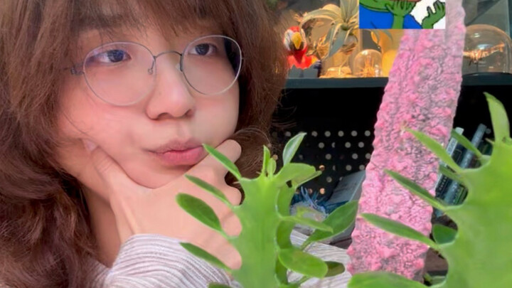 Gốc ghép: “Lần này ta sẽ giành lại tất cả những gì thuộc về mình!”