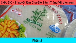 CHẢ GIÒ - Bí quyết làm Chả Giò Bánh Tráng VN giòn rụm #2