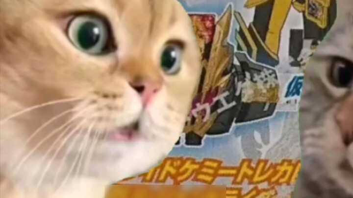 When Toei learned that the Regido intelligence map was leaked