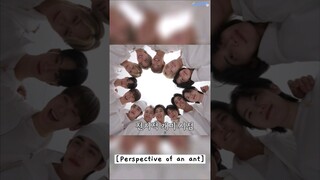 pov : you're an ant in going seventeen | svt OT13 Forever 💖💙 #GOING_SVT