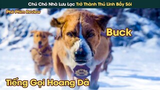 Chú Chó Nhà Lưu Lạc Nơi Hoang Dã Trở Thành Thủ Lĩnh Bầy Sói || Phê Phim Review