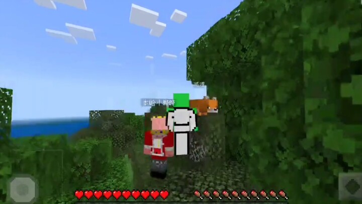 The "Pig God" had a legendary moment of screaming like a pig, thanks to Dream!