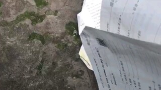 去你妈的寒假作业（2.6开学）