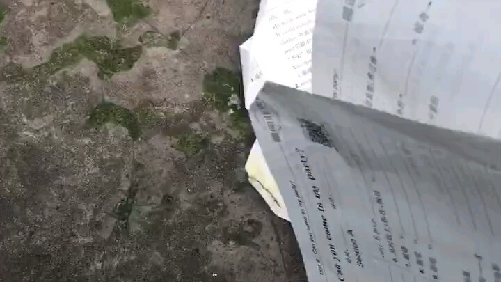 去你妈的寒假作业（2.6开学）