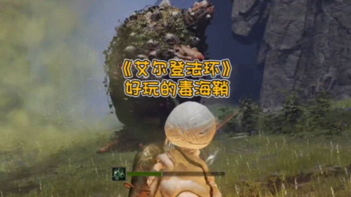好玩的毒海鞘！《艾尔登法环》游戏实况