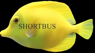 The Shortbus I Ark Basetour