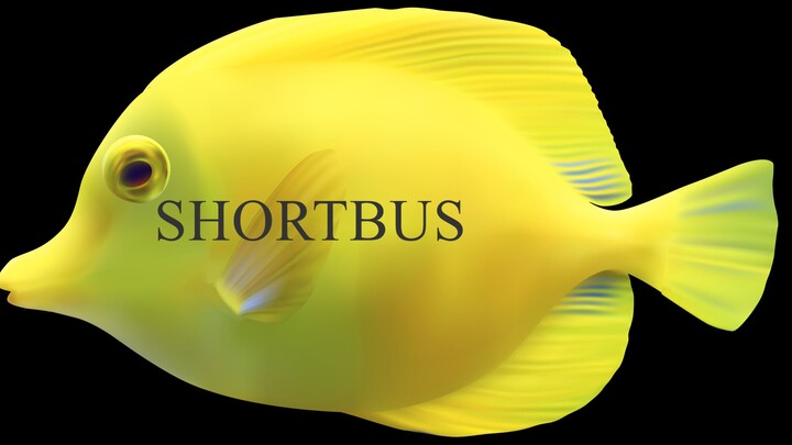 The Shortbus I Ark Basetour