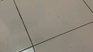Penampakan hantu Api