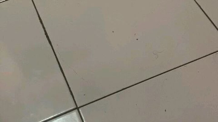 Penampakan hantu Api