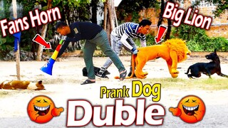 Big Fake Lion & Fans Horn vs Real Dog Prank - Top Double Prank Very Funny Make You Can Stop Laughing