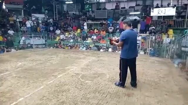 R&J April 2 bot 3 cock derby sta. Monica champion