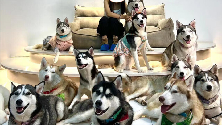 Kafe Husky yang kubuka dengan pinjaman 200 ribu rupiah sudah dibongkar habis, ya?