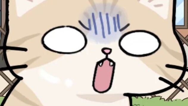 Sự khác biệt giữa mèo nông thôn và mèo thành thị có thực sự lớn đến vậy không?