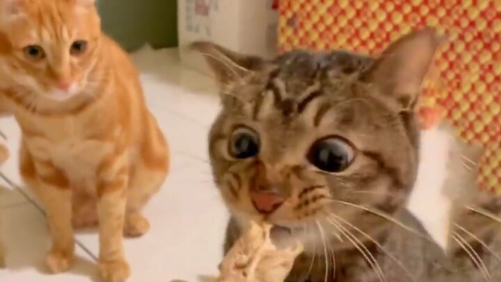 Close call—just one second away from starving to death!