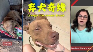 Anjing pindahan ditinggalkan, tetangga memilih untuk menyelamatkannya 🐶💖💖