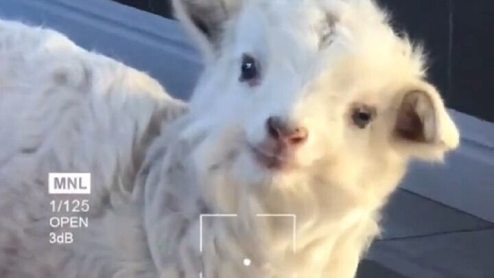 ของน่ารักทุกอย่างล้วนอร่อยจริงๆ