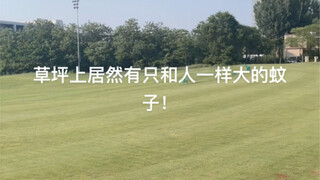 草坪生化危机