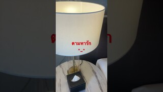ตามหารัก