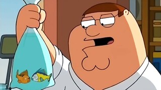 出生皮特饲养热带鱼（最善有善报的一集)