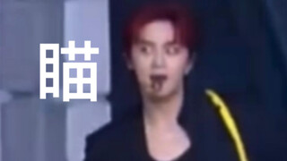 【威神v】当演出音乐突然停止时……