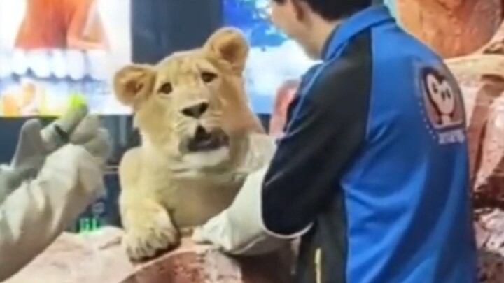 Their eyes reveal a clear, pure innocence.